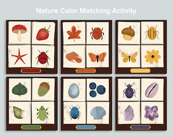 Preschool Nature Color Match Activity | Charlotte Mason Homeschool Printables | Preschool Sort Sorting Matching Game Fall Autumn Matching