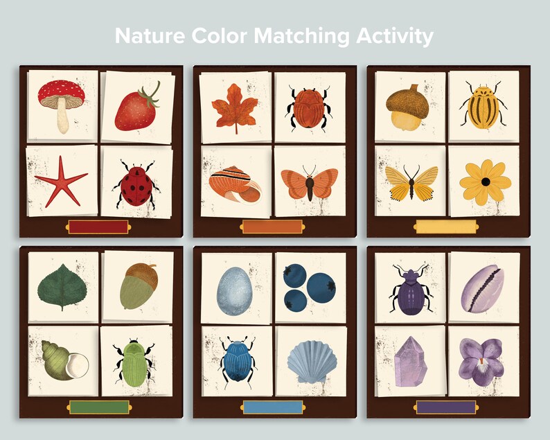 May include: A nature-themed color matching activity with illustrations of various objects, including a red mushroom, a strawberry, a ladybug, a butterfly, a seashell, a leaf, and a flower. The illustrations are arranged in a grid on a brown background.