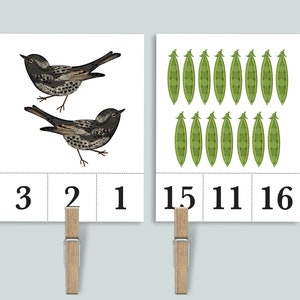 Garden Count and Clip 1-20 Number Cards | Nature Homeschool Printables | Insects Bug Preschool Peg it Clothespin Counting Flashcards