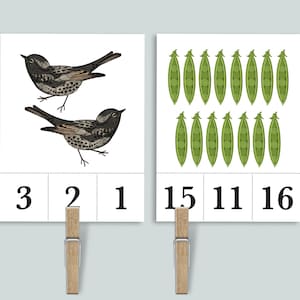 Tarjetas con números del 1 al 20 para contar y sujetar en el jardín / Imprimibles para la educación en el hogar sobre la naturaleza / Tarjetas didácticas para contar insectos con pinzas para la ropa para preescolar