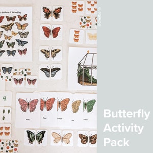 Butterfly Activity Pack BUNDLE | Nature Homeschool Printables | Preschool Activities | Symmetry Matching Game Color Flashcards