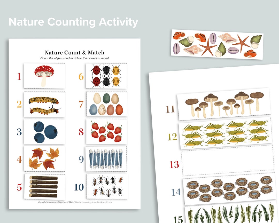 For Kids: Numbers in Nature - NatureOutside