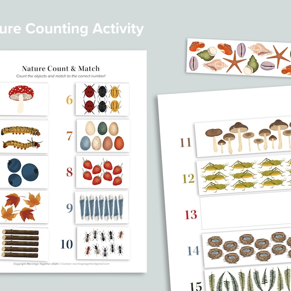 1-20 Nature Counting Activity | Preschool Nature Busy Book Pages | Numbers Homeschool Printables | Preschool Number Matching Count Game