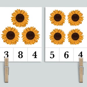 Sunflower Count and Clip 1-20 Number Cards | Nature Homeschool Printables | Flower Garden Preschool Peg it Clothespin Counting Flashcards