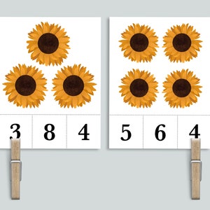 Cartes numérotées de 1 à 20 chiffres et à clipser tournesol | Nature à imprimer pour l'école-maison | Cartes mnémotechniques de comptage de pinces à linge pour jardin d'enfants et jardins de fleurs