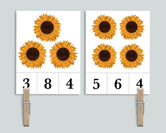 Sunflower Count and Clip 1-20 Number Cards Nature Homeschool - Etsy