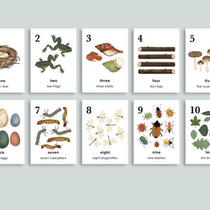 Tarjetas con números sobre la naturaleza / Imprimibles para la educación en el hogar de Charlotte Mason / Arte de pared para guardería de primavera / Tarjetas didácticas de conteo para preescolar / Arte de exhibición para el aula