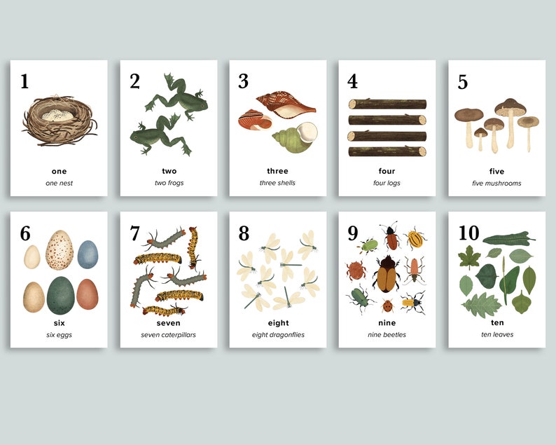nature number cards charlotte mason homeschool printables etsy