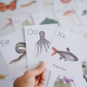 Cartes ABC Nature imprimables | Alphabet d'art mural préscolaire à imprimer pour l'école-maison et la pépinière | Classe ABC Lettres Flashcards | Carte Flash pré-k