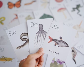 Nature ABC Cards Printable | Homeschool Printables Preschool Nursery Wall Art Alphabet | classroom Letter ABCs Flashcards | Pre k Flash card