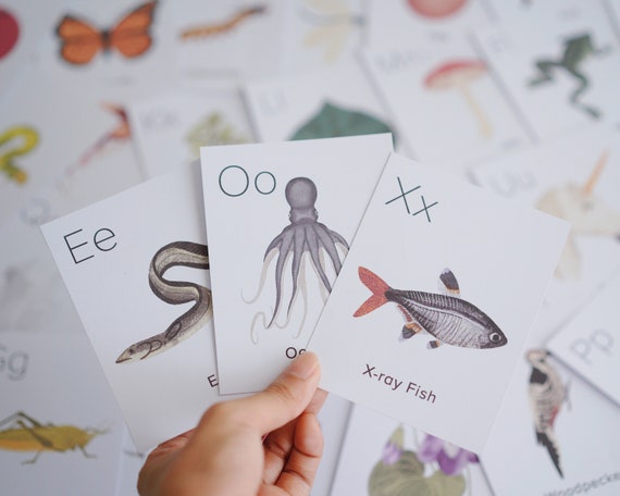 Nature ABC Cards Printable | Homeschool Printables Preschool Nursery Wall Art Alphabet | classroom Letter ABCs Flashcards | Pre k Flash card