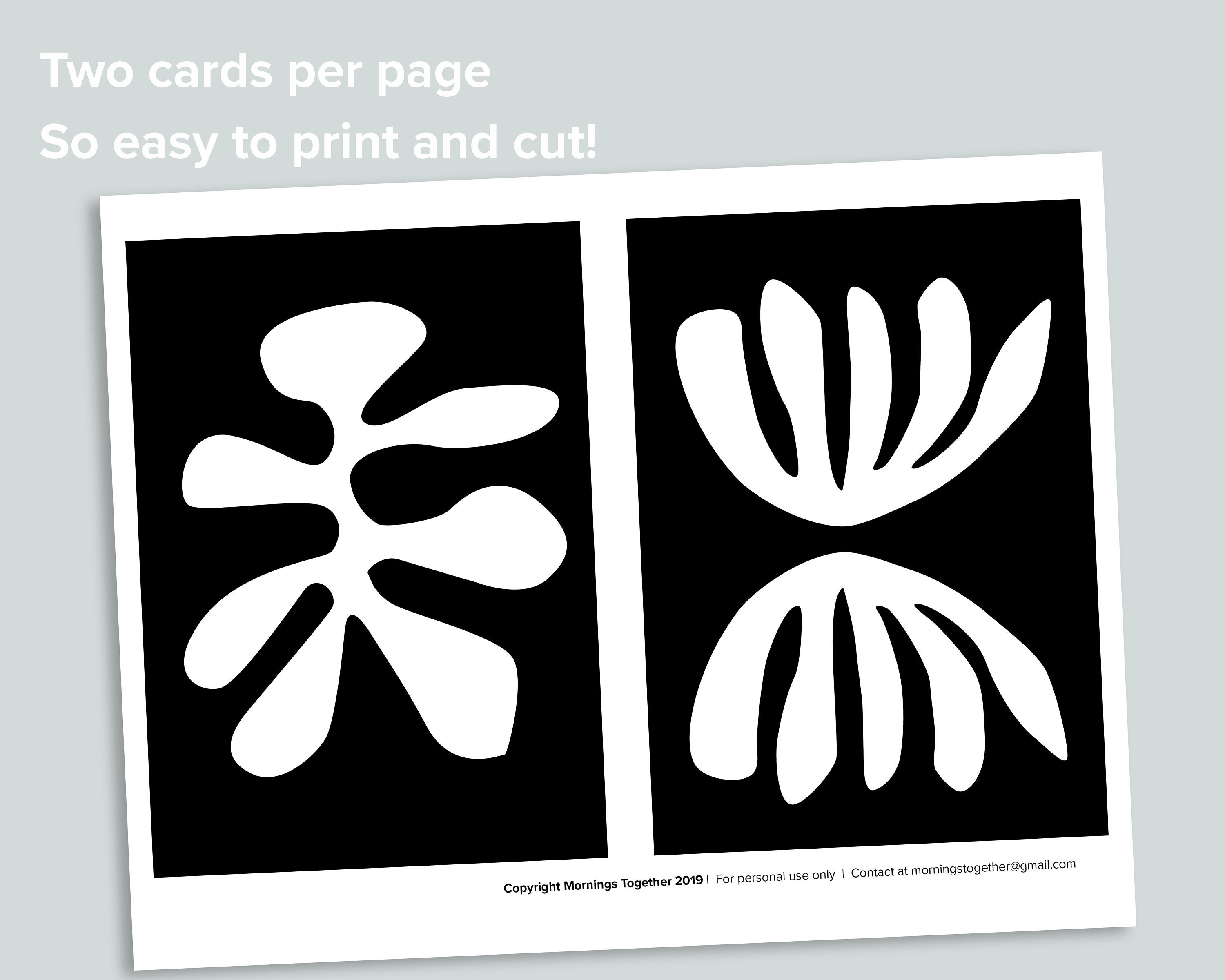 High Contrast Baby Flashcards | Montessori Infant Flash Cards | Matisse ...