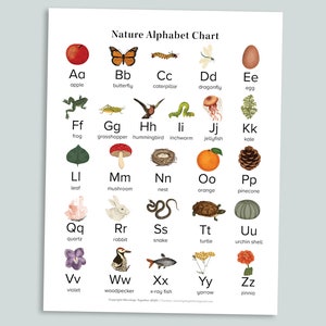 Naturaleza ABC Gráfico Página imprimible / Homeschool Imprimibles Preescolar Guardería Arte de la pared Alfabeto / aula Carta ABCs / Pre k cartel