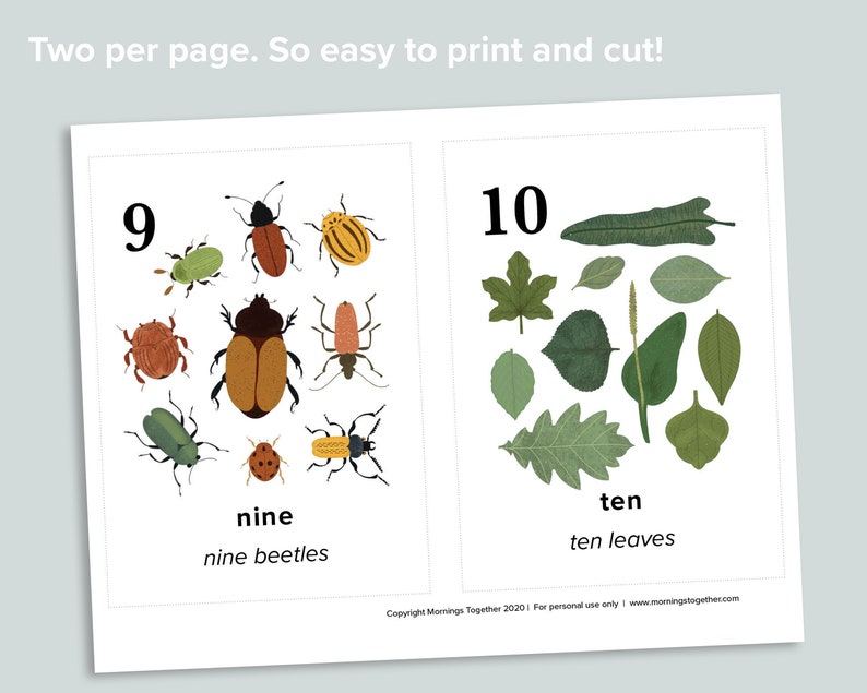 nature number cards charlotte mason homeschool printables etsy