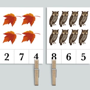 Aantal kaarten herfst: kaarten met 1-20 cijfers | Natuur thuisschool printables | Paddenstoel, eikel, uil Preschool Peg wasknijper tellen Flashcards