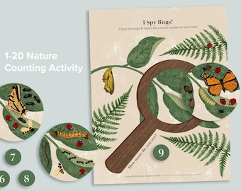1-20 Bug Counting Activity | Preschool Nature Busy Book Pages | Numbers Homeschool Printables | Preschool Number Matching Count Game