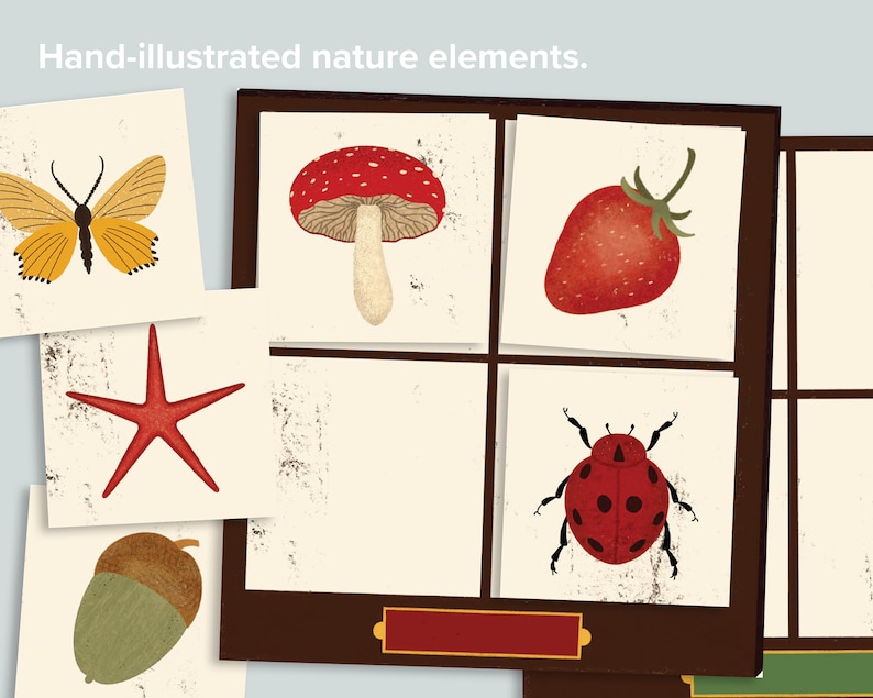 May include: A set of hand-illustrated nature elements, including a butterfly, a starfish, a mushroom, a strawberry, a ladybug, and an acorn.