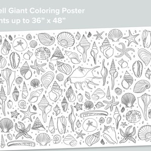 Seashell Giant coloring Poster | Homeschool Printables | Black and White Large Coloring Pages | Ocean Preschool Activity Shells