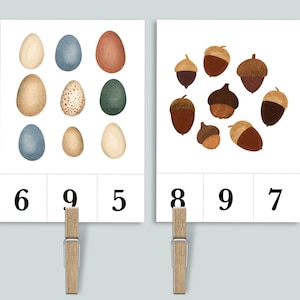 Tarjetas de conteo de la naturaleza y recorte de números del 1 al 10 / Imprimibles para la educación en el hogar de Charlotte Mason / Tarjetas didácticas de conteo para el aula preescolar con nidos de polillas de bellota