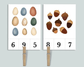 Nature Count and Clip Number Cards 1-10 | Charlotte Mason Homeschool Printables | Acorn Moth Nest Preschool Counting Flashcards Classroom