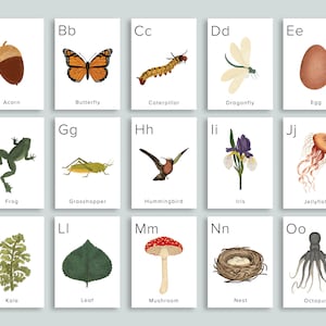 Nature ABC Cards Printable | Homeschool Printables Preschool Nursery Wall Art Alphabet | classroom Letter ABCs Flashcards | Pre k Flash card