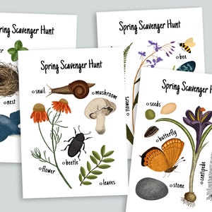 Lente natuur speurtocht afdrukbare | Homeschool voorschoolse printables | Achtertuin zoeken | Woodland Outdoor Verjaardag Kinderfeestactiviteit