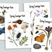 see more listings in the Nature Scavenger Hunts section