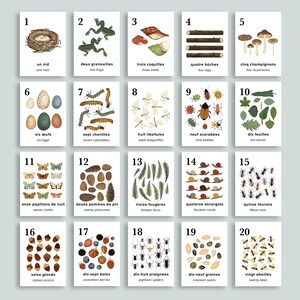 Cartes de comptage Nature, français et anglais, imprimables | Art pour chambre d'enfant | Préscolaire École à domicile Numéro de classe 1-10 Flashcards | Charlotte Mason