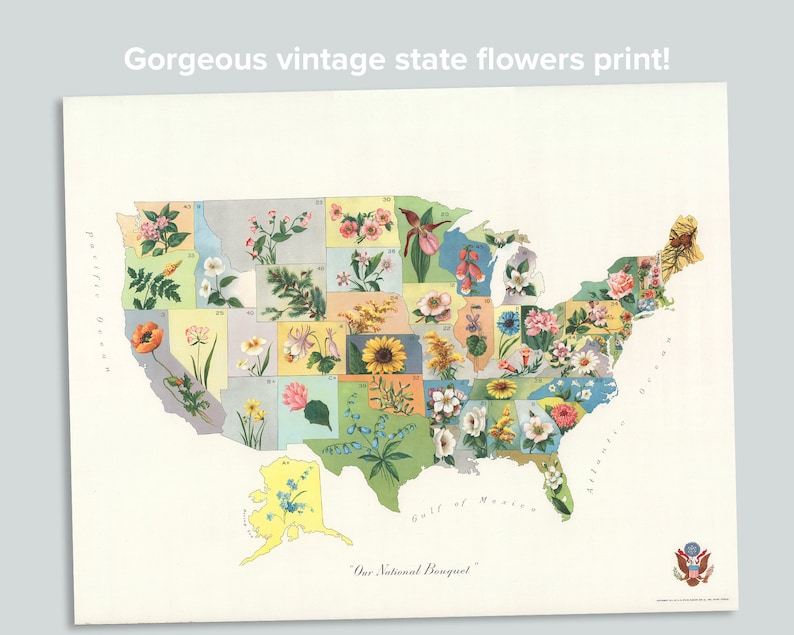 Pu&ograve; includere: Una mappa vintage degli Stati Uniti con il fiore di ogni stato illustrato in uno stile colorato e dettagliato. La mappa &egrave; intitolata "Our National Bouquet".