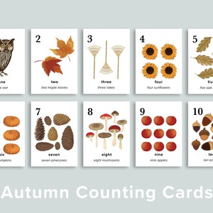 Autumn Nature Number Cards Printable | Fall Homeschool Printables | Thanksgiving Preschool Classroom Counting Flashcards | Charlotte Mason