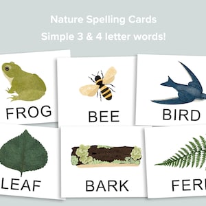 Nature Spelling Cards | Simple Words | Easy Early Reading Activity | Charlotte Mason Pre K | Homeschool Printables | Preschool Classroom