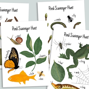 Vijverspeurtocht afdrukbaar | Charlotte Mason Homeschool-printables | Achtertuin zoeken | Woodland Outdoor Verjaardag Kinderfeestactiviteit