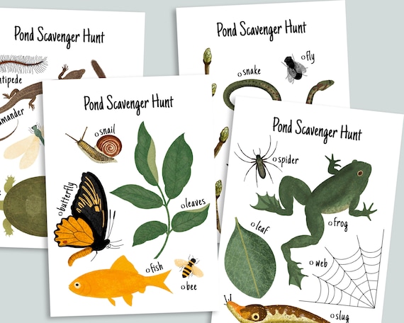 Pond Scavenger Hunt Printable  Charlotte Mason Homeschool