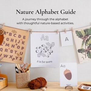 Nature Alphabet Guide Curriculum | Homeschool Preschool Printables | Letter of the Week activities | ABCs