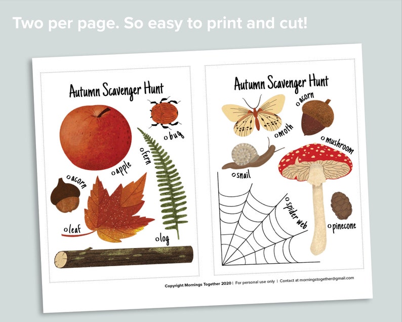 Autumn Nature Scavenger Hunt Printable Fall Homeschool Printables Backyard Search Woodland Outdoor Birthday Kid's Party Activity image 2