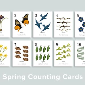 Spring Nature Number Cards Printable | Homeschool Printables | Holiday Preschool Classroom Counting Flashcards | Charlotte Mason