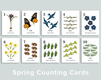 Spring Nature Number Cards Printable | Homeschool Printables | Holiday Preschool Classroom Counting Flashcards | Charlotte Mason