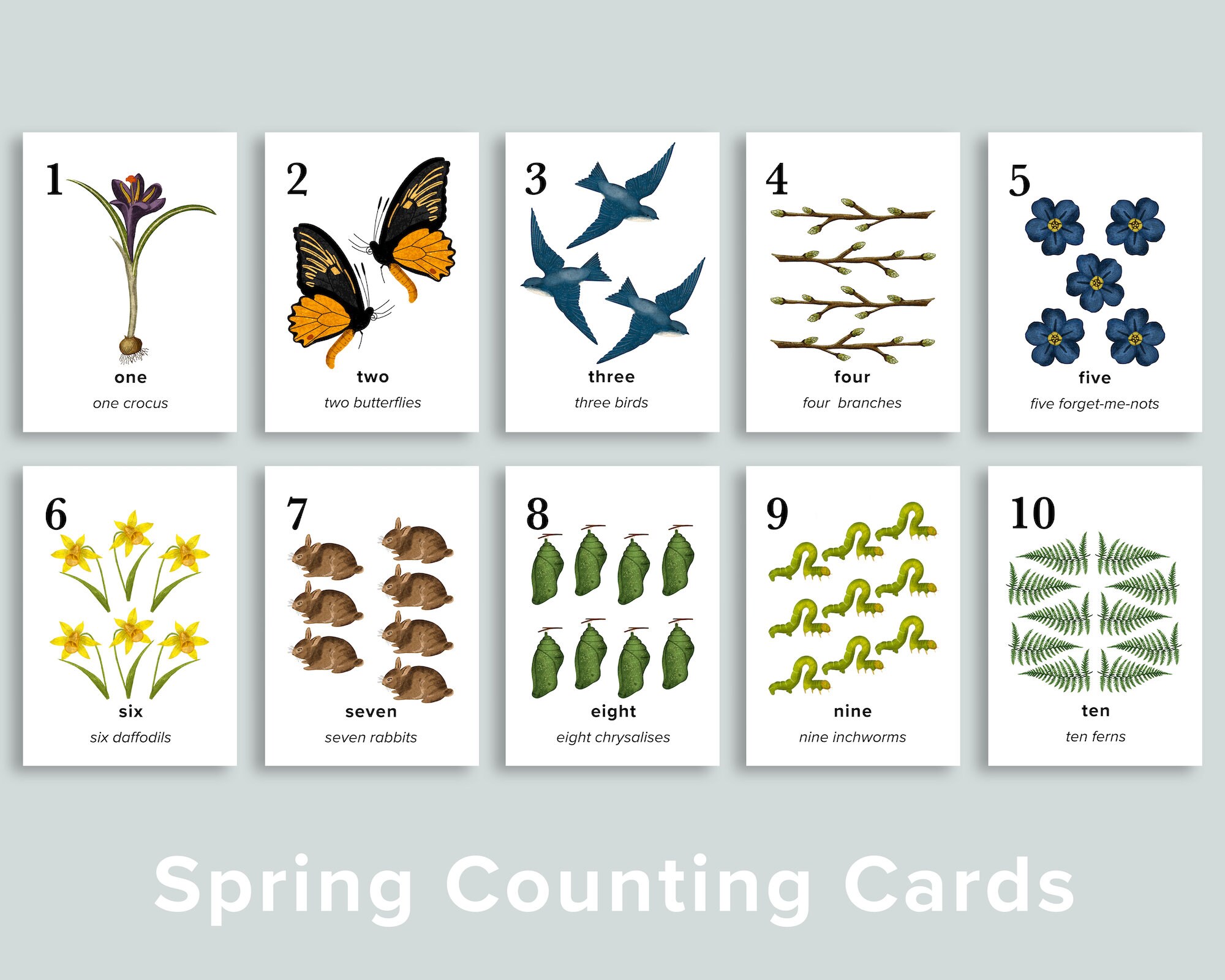 Spring Nature Number Cards Printable Homeschool Printables - Etsy Norway
