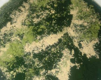 Postnatal Superfood Blend: Organic Spirulina, Moringa, Ashwagandha