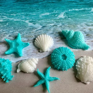 May include: A collection of teal and white seashell and starfish shaped soaps. The soaps are arranged on a blue and white background.