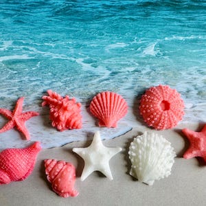 May include: A collection of eight pink and white seashell and starfish shaped soaps. The soaps are arranged on a white sandy surface with a blue ocean background.
