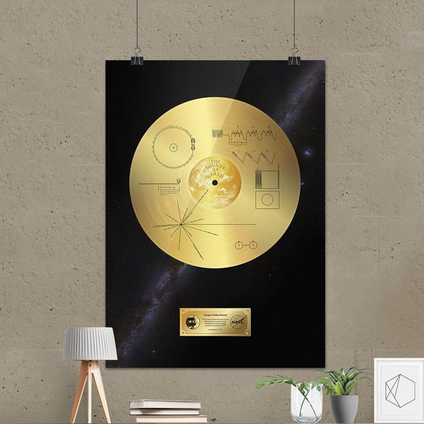Voyager 1 Golden Record — space poster, science print, space art, space wall decor, space wall art, NASA poster, science gifts, nerdy gifts