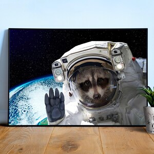 Raccoon astronaut in Earth orbit, NASA photo — space collage poster, astronaut photo portrait, digital collage, space poster