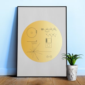 NASA Voyager 1 Golden Record (White background) — space poster, science poster, space wall decor, space art