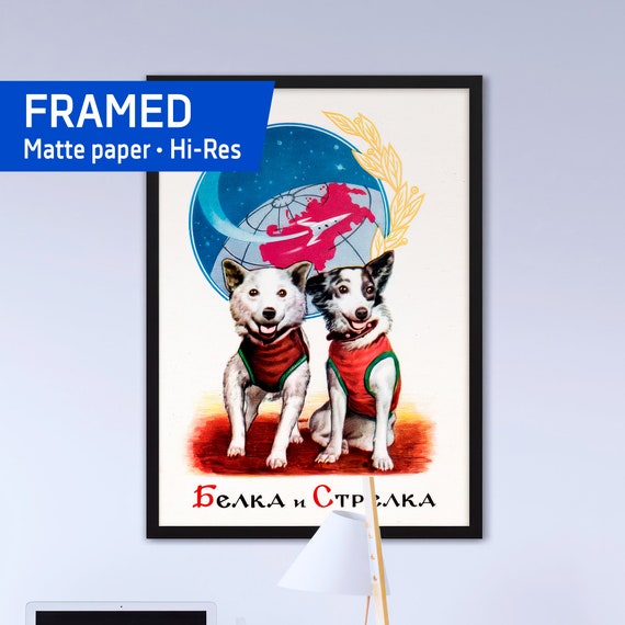 Belka and Strelka, space dogs, USSR, 1961 — Framed matte paper poster. Soviet vintage space poster, retro soviet art, propaganda poster