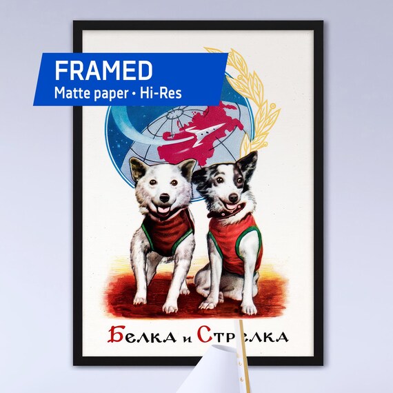 Belka and Strelka, space dogs, USSR 1961 — Framed matte paper poster. Soviet vintage space print, 1960s propaganda poster