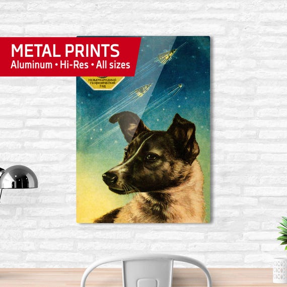Laika poster, first space dog, USSR — Metal prints. Soviet vintage space art poster, soviet poster, propaganda poster, soviet retro space