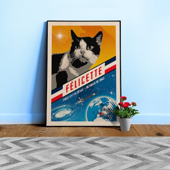 Felicette, First cat in space, France, 1963 — Vintage space poster, retro space art, propaganda poster, retrofuturism