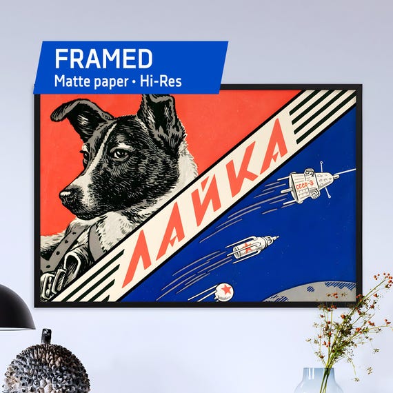 Laika, first space dog. Soviet vintage space poster — Framed space soviet poster. Soviet space 1960s art print, vintage wall decor
