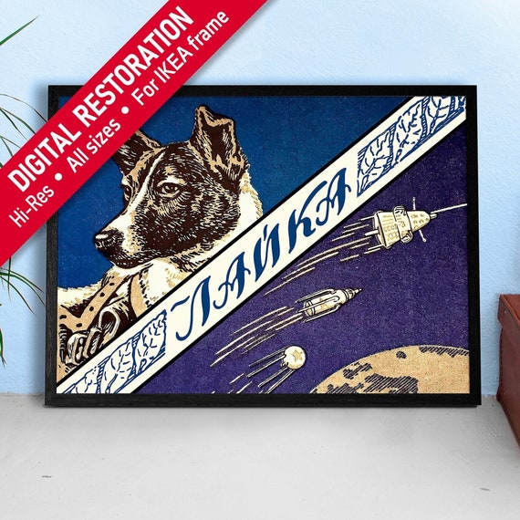 Laika / Лайка, first space dog, USSR 1950s — Soviet poster, soviet space poster, retro space poster, vintage space print, propaganda poster